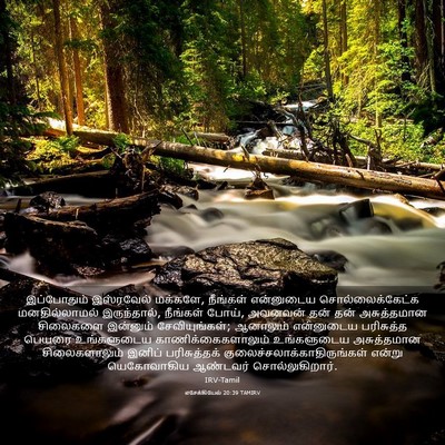 Picture 03 - எசேக்கியேல் 20:39 TAMIRV - இப்போதும் - Bible Verse Picture