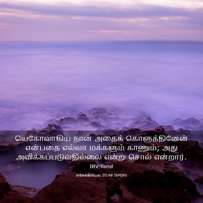 Picture 03 - எசேக்கியேல் 20:48 TAMIRV - யெகோவாகிய நான் - Bible Verse Picture