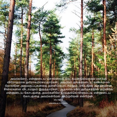 Picture 03 - எசேக்கியேல் 20:8 TAMIRV - அவர்களோ, என்னுடைய - Bible Verse Picture