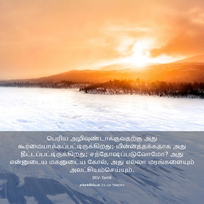 Picture 03 - எசேக்கியேல் 21:10 TAMIRV - பெரிய - Bible Verse Picture