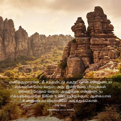 Picture 03 - எசேக்கியேல் 21:12 TAMIRV - மனிதகுமாரனே, நீ - Bible Verse Picture