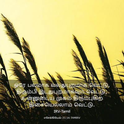 Picture 03 - எசேக்கியேல் 21:16 TAMIRV - ஒரே பலமாக - Bible Verse Picture