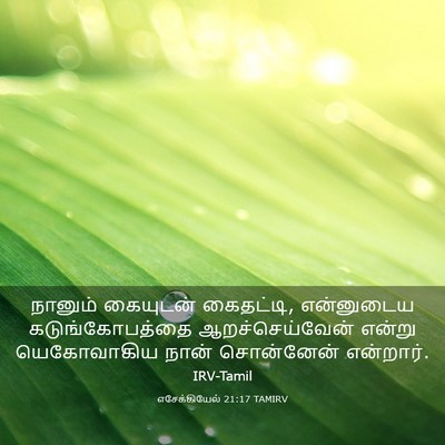 Picture 03 - எசேக்கியேல் 21:17 TAMIRV - நானும் கையுடன் - Bible Verse Picture