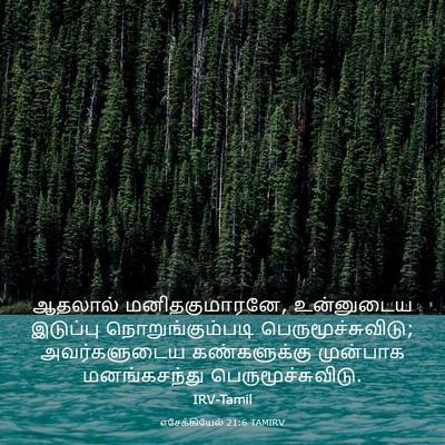 Picture 03 - எசேக்கியேல் 21:6 TAMIRV - ஆதலால் - Bible Verse Picture