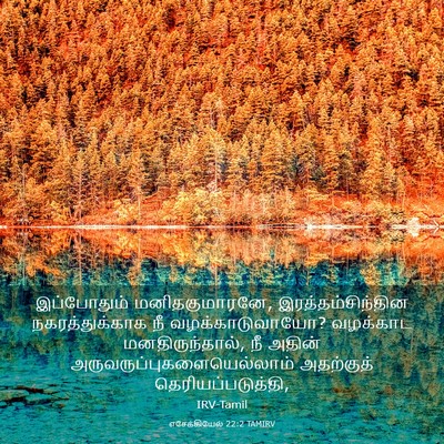 Picture 03 - எசேக்கியேல் 22:2 TAMIRV - இப்போதும் - Bible Verse Picture
