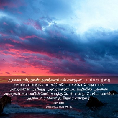 Picture 03 - எசேக்கியேல் 22:31 TAMIRV - ஆகையால், நான் - Bible Verse Picture