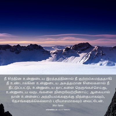 Picture 03 - எசேக்கியேல் 22:4 TAMIRV - நீ சிந்தின - Bible Verse Picture