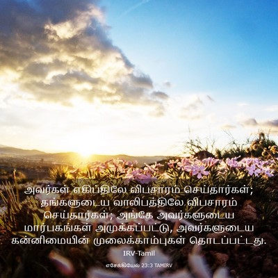 Picture 03 - எசேக்கியேல் 23:3 TAMIRV - அவர்கள் எகிப்திலே - Bible Verse Picture