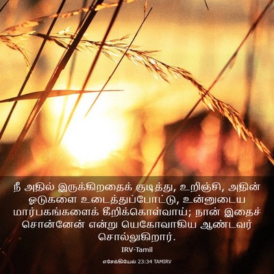Picture 03 - எசேக்கியேல் 23:34 TAMIRV - நீ அதில் - Bible Verse Picture