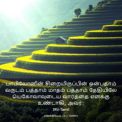 Picture 03 - எசேக்கியேல் 24:1 TAMIRV - பாபிலோனின் - Bible Verse Picture