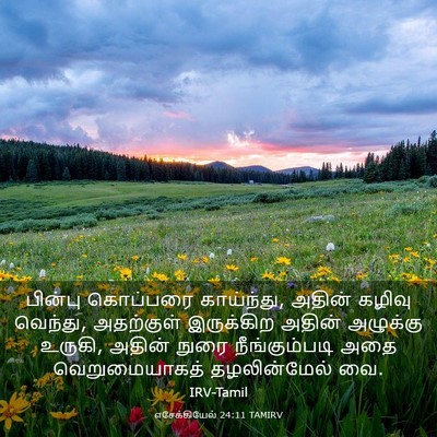 Picture 03 - எசேக்கியேல் 24:11 TAMIRV - பின்பு கொப்பரை - Bible Verse Picture
