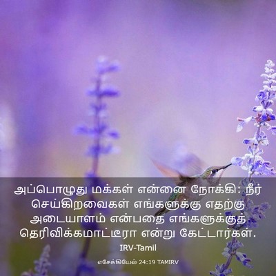 Picture 03 - எசேக்கியேல் 24:19 TAMIRV - அப்பொழுது மக்கள் - Bible Verse Picture