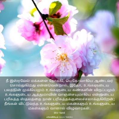 Picture 03 - எசேக்கியேல் 24:21 TAMIRV - நீ இஸ்ரவேல் - Bible Verse Picture