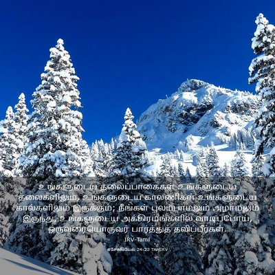 Picture 03 - எசேக்கியேல் 24:23 TAMIRV - உங்களுடைய - Bible Verse Picture