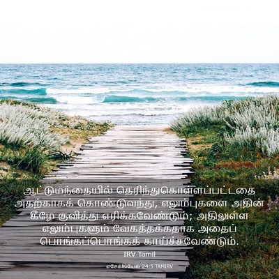 Picture 03 - எசேக்கியேல் 24:5 TAMIRV - ஆட்டுமந்தையில் - Bible Verse Picture