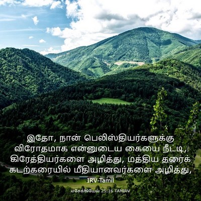 Picture 03 - எசேக்கியேல் 25:16 TAMIRV - இதோ, நான் - Bible Verse Picture