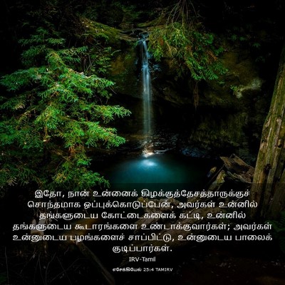 Picture 03 - எசேக்கியேல் 25:4 TAMIRV - இதோ, நான் உன்னைக் - Bible Verse Picture