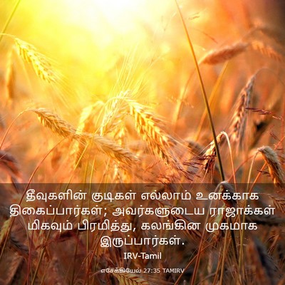 Picture 03 - எசேக்கியேல் 27:35 TAMIRV - தீவுகளின் குடிகள் - Bible Verse Picture