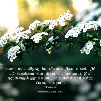 Picture 03 - எசேக்கியேல் 27:36 TAMIRV - எல்லா - Bible Verse Picture