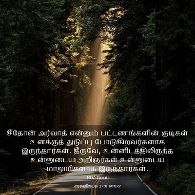 Picture 03 - எசேக்கியேல் 27:8 TAMIRV - சீதோன் அர்வாத் - Bible Verse Picture