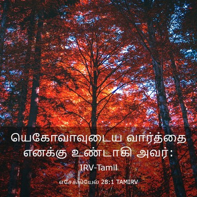 Picture 03 - எசேக்கியேல் 28:1 TAMIRV - யெகோவாவுடைய - Bible Verse Picture