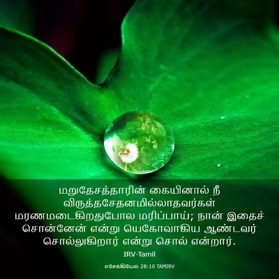 Picture 03 - எசேக்கியேல் 28:10 TAMIRV - மறுதேசத்தாரின் - Bible Verse Picture