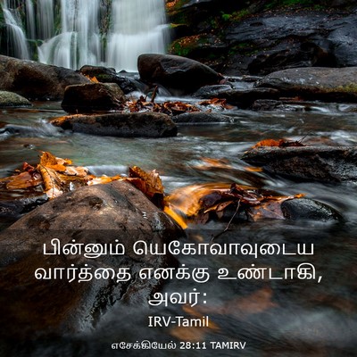 Picture 03 - எசேக்கியேல் 28:11 TAMIRV - பின்னும் - Bible Verse Picture