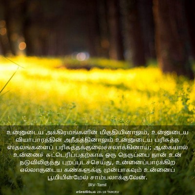 Picture 03 - எசேக்கியேல் 28:18 TAMIRV - உன்னுடைய - Bible Verse Picture