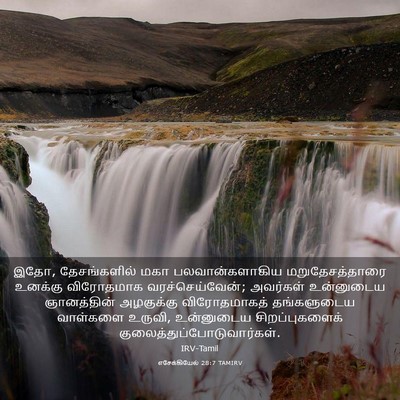 Picture 03 - எசேக்கியேல் 28:7 TAMIRV - இதோ, தேசங்களில் - Bible Verse Picture
