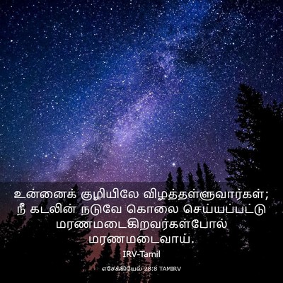 Picture 03 - எசேக்கியேல் 28:8 TAMIRV - உன்னைக் குழியிலே - Bible Verse Picture