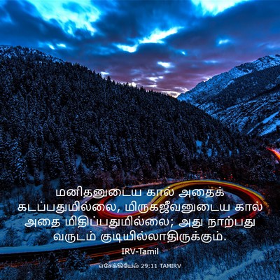 Picture 03 - எசேக்கியேல் 29:11 TAMIRV - மனிதனுடைய கால் - Bible Verse Picture
