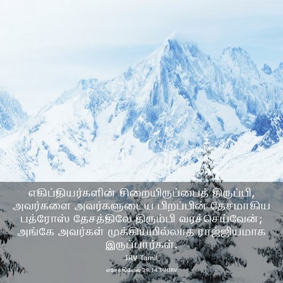 Picture 03 - எசேக்கியேல் 29:14 TAMIRV - எகிப்தியர்களின் - Bible Verse Picture