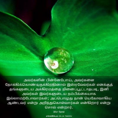 Picture 03 - எசேக்கியேல் 29:16 TAMIRV - அவர்களின் - Bible Verse Picture