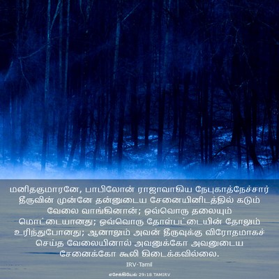 Picture 03 - எசேக்கியேல் 29:18 TAMIRV - மனிதகுமாரனே, - Bible Verse Picture