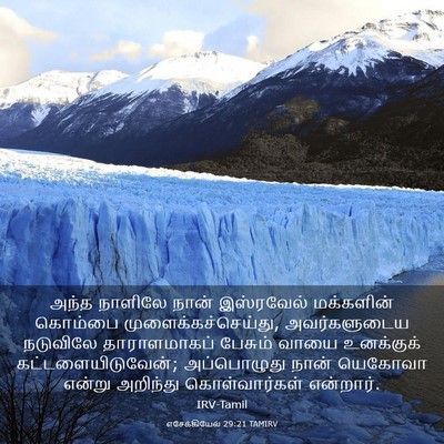 Picture 03 - எசேக்கியேல் 29:21 TAMIRV - அந்த நாளிலே நான் - Bible Verse Picture