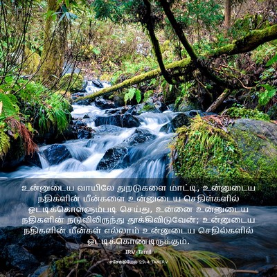 Picture 03 - எசேக்கியேல் 29:4 TAMIRV - உன்னுடைய வாயிலே - Bible Verse Picture