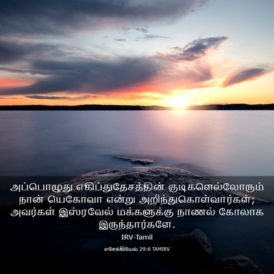 Picture 03 - எசேக்கியேல் 29:6 TAMIRV - அப்பொழுது - Bible Verse Picture