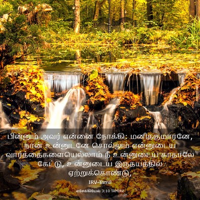 Picture 03 - எசேக்கியேல் 3:10 TAMIRV - பின்னும் அவர் - Bible Verse Picture
