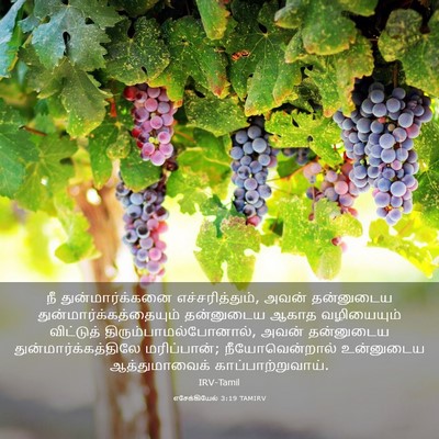 Picture 03 - எசேக்கியேல் 3:19 TAMIRV - நீ துன்மார்க்கனை - Bible Verse Picture