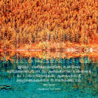Picture 03 - எசேக்கியேல் 3:25 TAMIRV - இதோ, மனிதகுமாரனே, - Bible Verse Picture