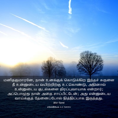 Picture 03 - எசேக்கியேல் 3:3 TAMIRV - மனிதகுமாரனே, நான் - Bible Verse Picture
