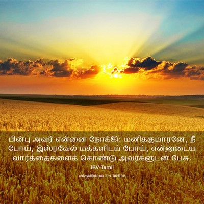 Picture 03 - எசேக்கியேல் 3:4 TAMIRV - பின்பு அவர் என்னை - Bible Verse Picture