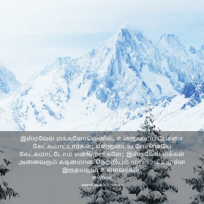 Picture 03 - எசேக்கியேல் 3:7 TAMIRV - இஸ்ரவேல் - Bible Verse Picture
