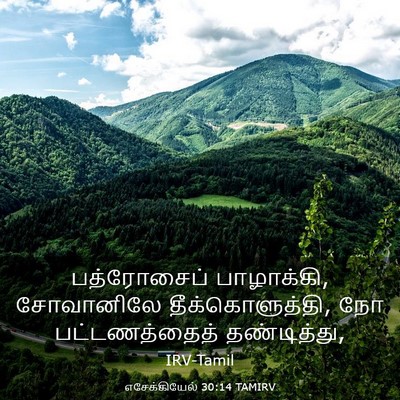 Picture 03 - எசேக்கியேல் 30:14 TAMIRV - பத்ரோசைப் - Bible Verse Picture