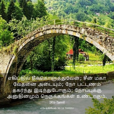 Picture 03 - எசேக்கியேல் 30:16 TAMIRV - எகிப்தில் - Bible Verse Picture