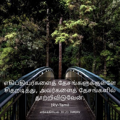 Picture 03 - எசேக்கியேல் 30:23 TAMIRV - எகிப்தியர்களைத் - Bible Verse Picture