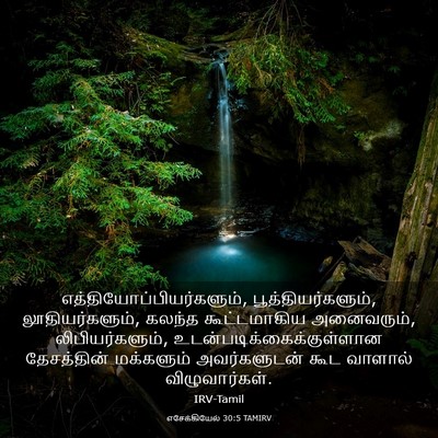 Picture 03 - எசேக்கியேல் 30:5 TAMIRV -  - Bible Verse Picture