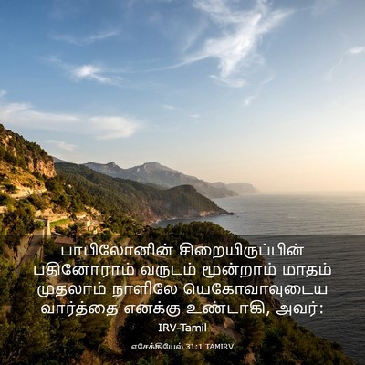 Picture 03 - எசேக்கியேல் 31:1 TAMIRV - பாபிலோனின் - Bible Verse Picture