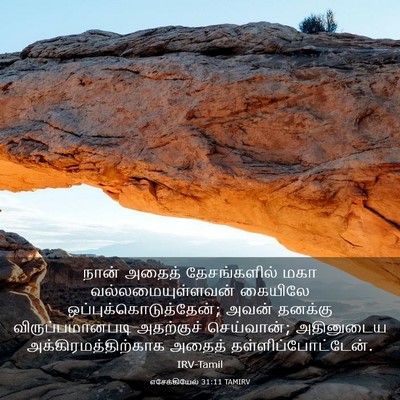 Picture 03 - எசேக்கியேல் 31:11 TAMIRV - நான் அதைத் - Bible Verse Picture