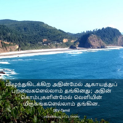 Picture 03 - எசேக்கியேல் 31:13 TAMIRV - விழுந்துகிடக்கிற - Bible Verse Picture